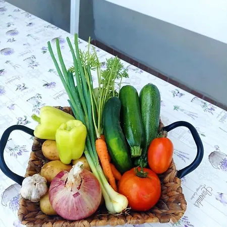 Apartment Branko *