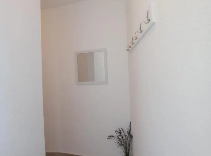 Branko With Free Parking Place Apartmán *